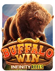 25_Buffalo-Win