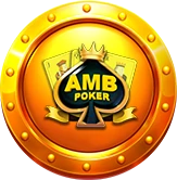 2_Provider-AMB